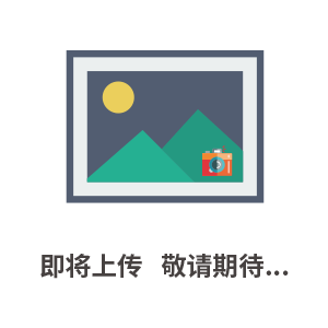 MT-30中國臺灣進口高速沖床
